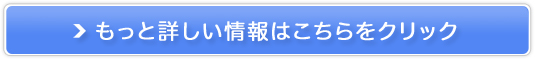 wpICpꃌbX̔TCg